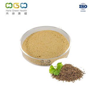 Polvo de curry de condimento en polvo de comino para alimentos Mantener más tiempo 