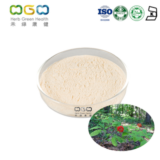 Polvo de los ginsenósidos 4-80% del extracto de la hoja del ginseng de Panax para impulsar la inmunidad
