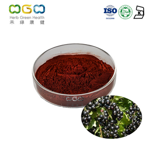 Extracto de grosella negra Anthocyanins HPLC35% para antienvejecimiento