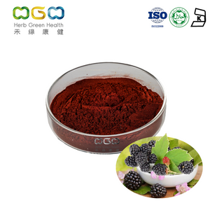 Blackberry SD Powder Pure Nutritious para ayudar a dormir